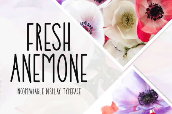 Fresh Anemone: A Joyful Display Font for Branding